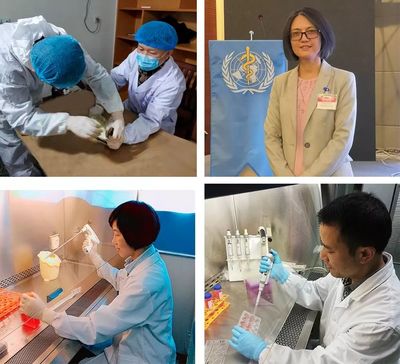 硬核成果！南昌市疾控中心陳海嬰團隊獲江西省自然科學獎一等獎